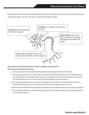 Neurotransmission Fact Sheet