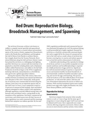 Red Drum: Reproductive Biology, Broodstock Management, and Spawning