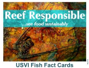 USVI Fish Fact Cards Reef Responsible: a Market-Driven Approach to a Sustainable Seafood Industry in the US Virgin Islands