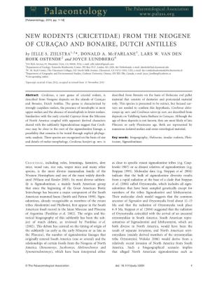 New Rodents (Cricetidae) from the Neogene of Curacßao and Bonaire, Dutch Antilles