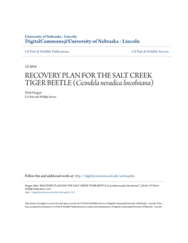 RECOVERY PLAN for the SALT CREEK TIGER BEETLE (Cicindela Nevadica Lincolniana) Matt Ogh an U.S Fish and Wildlife Service