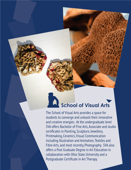 The School of Visual Arts Provides a Space for Students to Converge and Unleash Their Innovative and Creative Energies