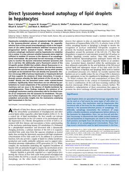 Direct Lysosome-Based Autophagy of Lipid Droplets in Hepatocytes