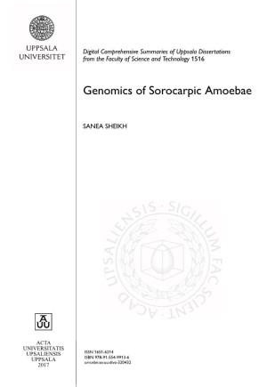 Genomics of Sorocarpic Amoebae