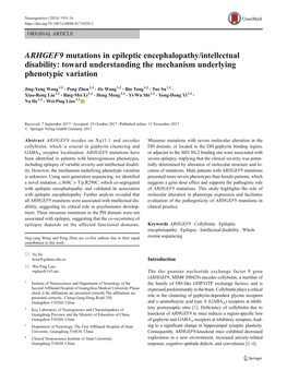 ARHGEF9 Mutations in Epileptic Encephalopathy/Intellectual Disability: Toward Understanding the Mechanism Underlying Phenotypic Variation