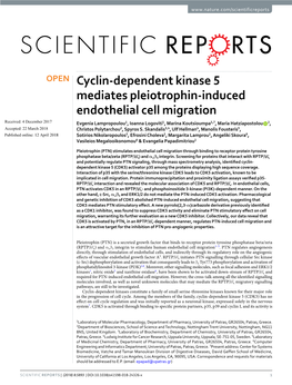 Cyclin-Dependent Kinase 5 Mediates Pleiotrophin-Induced Endothelial