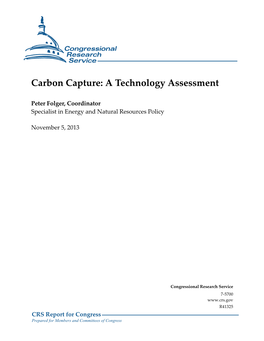 Carbon Capture: a Technology Assessment