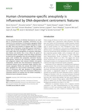 Human Chromosome‐Specific Aneuploidy Is Influenced by DNA