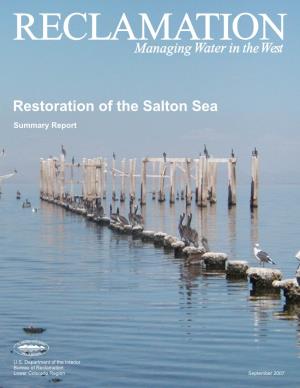 Restoration of the Salton Sea Summary Report