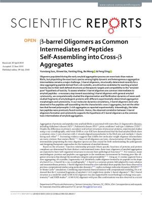 Β-Barrel Oligomers As Common Intermediates of Peptides Self