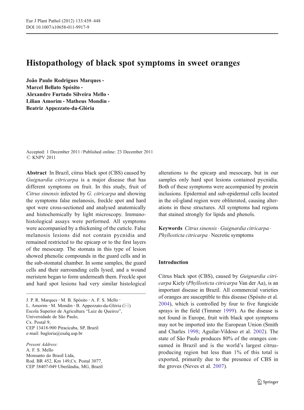 Histopathology of Black Spot Symptoms in Sweet Oranges