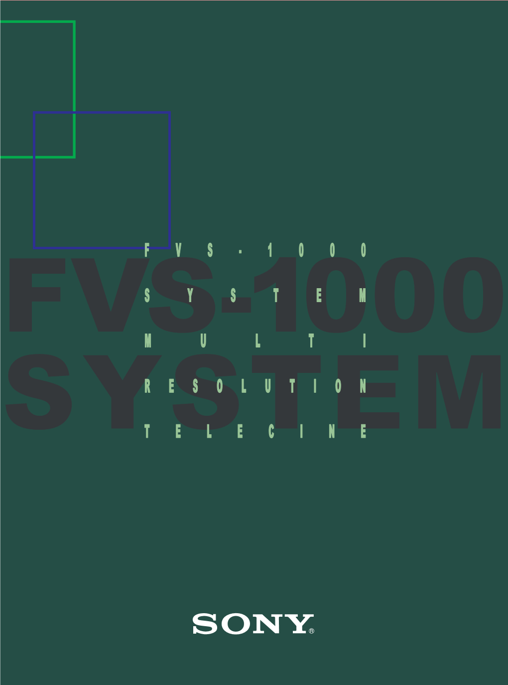 Fvs-1000 System Resolution