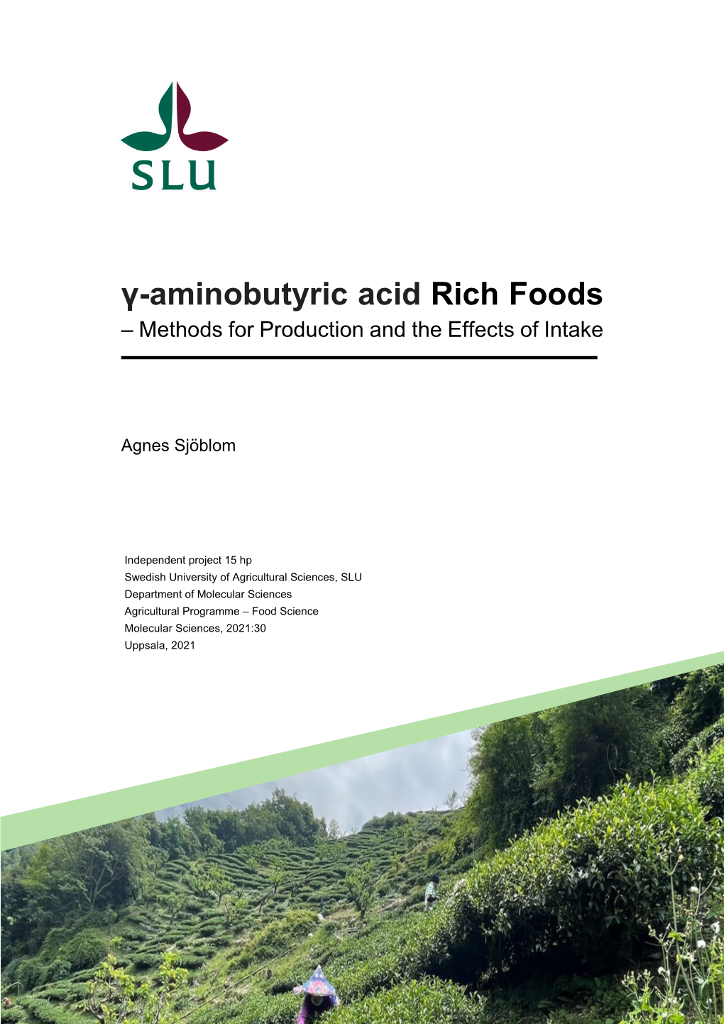 Γ-Aminobutyric Acid Rich Foods – Methods for Production and the Effects of Intake