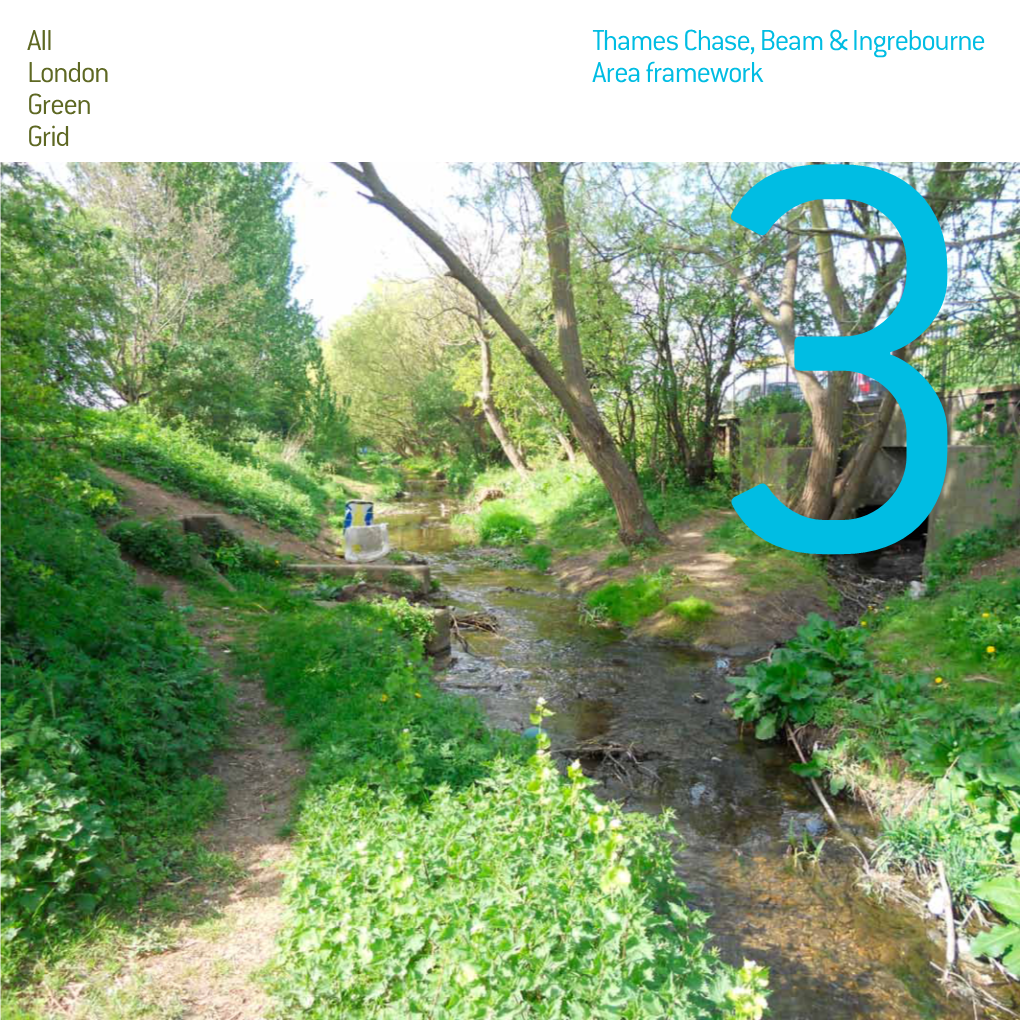 Thames Chase, Beam & Ingrebourne Area Framework