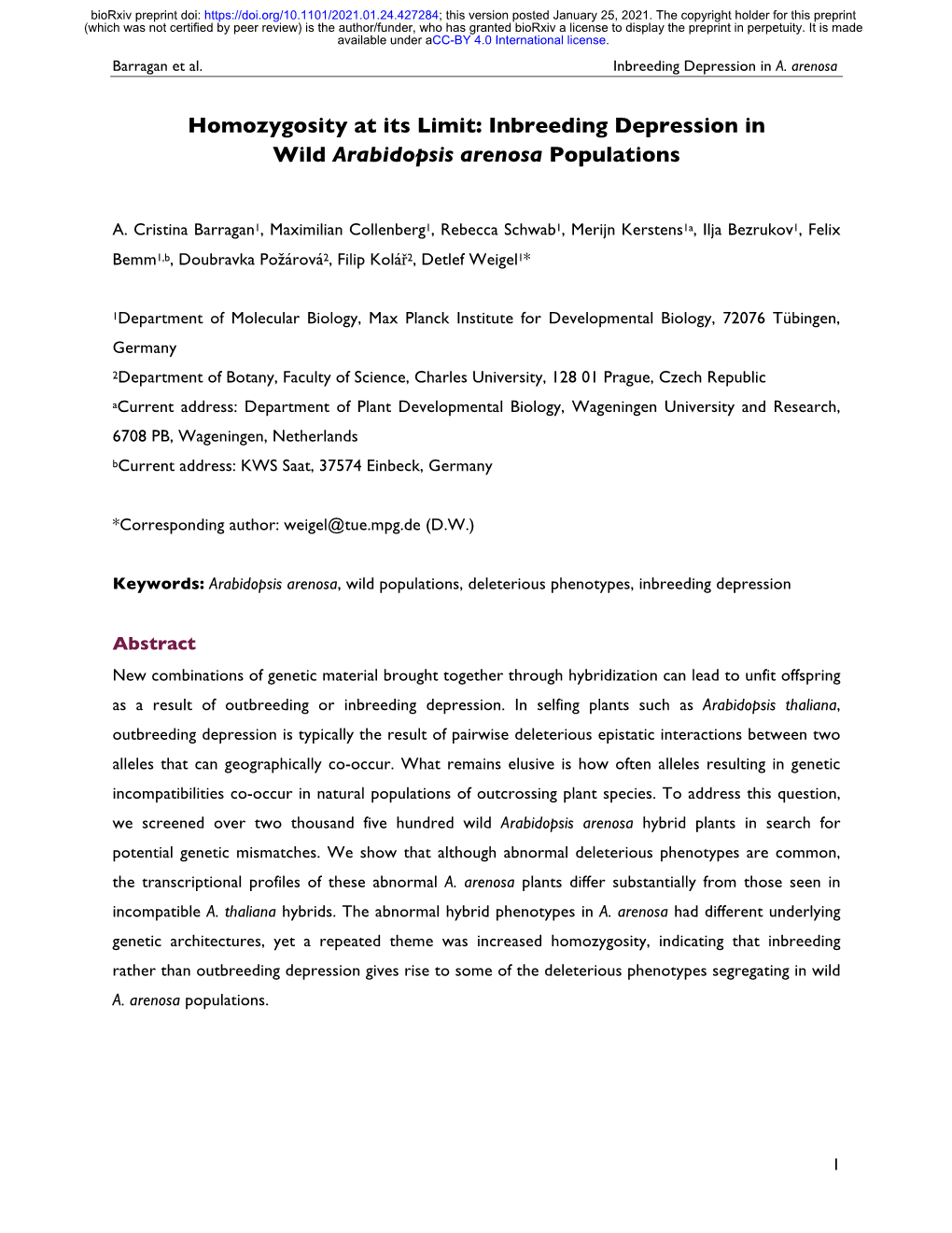 Homozygosity at Its Limit: Inbreeding Depression in Wild Arabidopsis Arenosa Populations