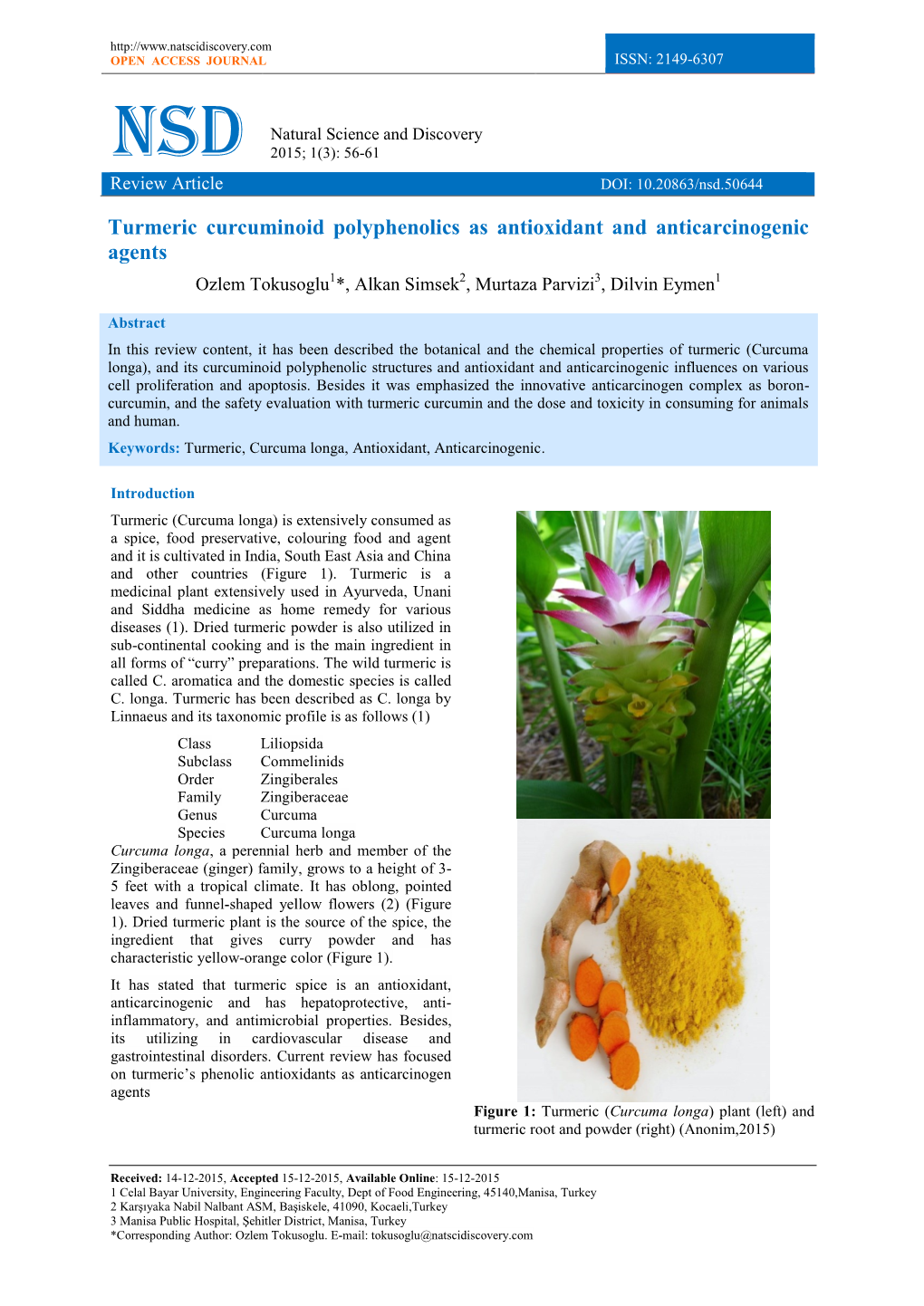 Turmeric Curcuminoid Polyphenolics As Antioxidant and Anticarcinogenic Agents Ozlem Tokusoglu1*, Alkan Simsek2, Murtaza Parvizi3, Dilvin Eymen1