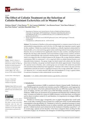 The Effect of Colistin Treatment on the Selection of Colistin-Resistant Escherichia Coli in Weaner Pigs
