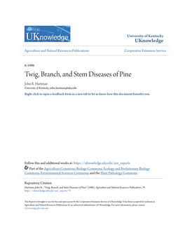 Twig, Branch, and Stem Diseases of Pine John R