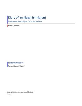 Diary of an Illegal Immigrant Memoirs from Spain and Morocco