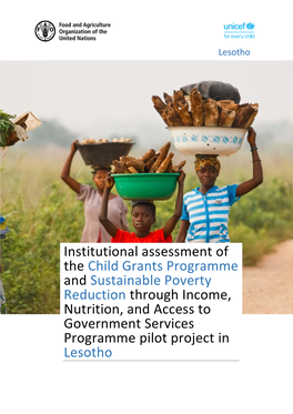 Institutional Assessment of the Child Grants Programme and Sustainable