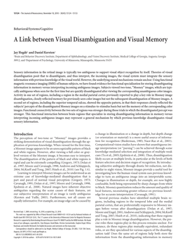 A Link Between Visual Disambiguation and Visual Memory