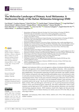 The Molecular Landscape of Primary Acral Melanoma: a Multicenter Study of the Italian Melanoma Intergroup (IMI)