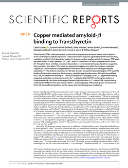 Copper Mediated Amyloid-Β Binding to Transthyretin