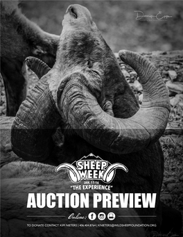 Auction Preview