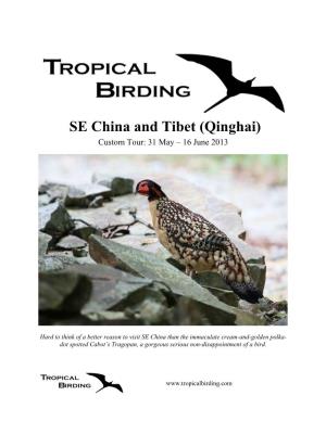 SE China and Tibet (Qinghai) Custom Tour: 31 May – 16 June 2013