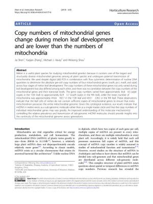 Copy Numbers of Mitochondrial Genes Change During Melon Leaf Development and Are Lower Than the Numbers of Mitochondria
