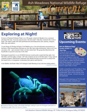 Exploring at Night! in Honor of National Pollinator Week, Over 100 People Visited Ash Meadows for a Nocturnal Adventure This June