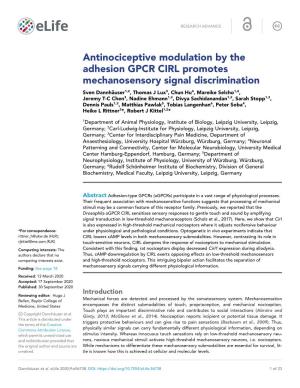 Antinociceptive Modulation by the Adhesion GPCR CIRL Promotes