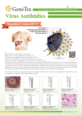 Virus Antibodies