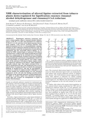 Alcohol Dehydrogenase and Cinnamoyl-Coa Reductase (Monolignol͞genetic Modification͞antisense Rna͞coniferyl Alcohol͞feruloyl-Coa)