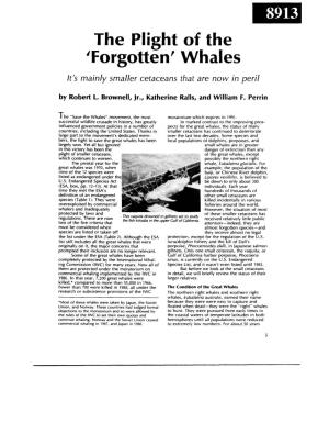 The Plight of the 'Forgotten' Whales