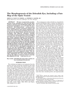 The Morphogenesis of the Zebrafish Eye, Including a Fate Map of The