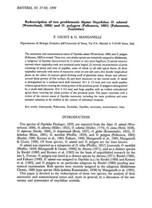27-60, 1999 Redescription Problematic Alpine Oxychilus