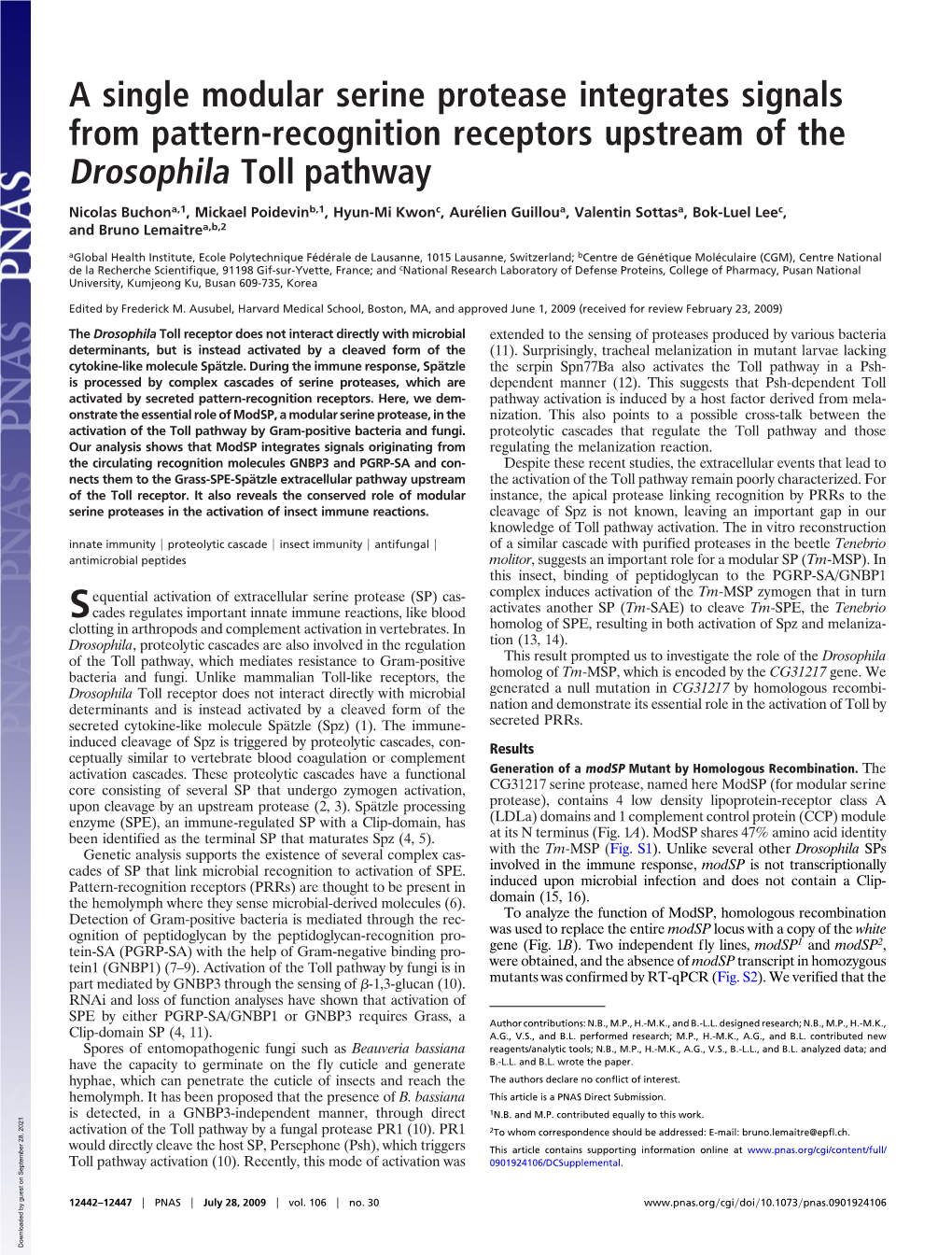 A Single Modular Serine Protease Integrates Signals from Pattern-Recognition Receptors Upstream of the Drosophila Toll Pathway