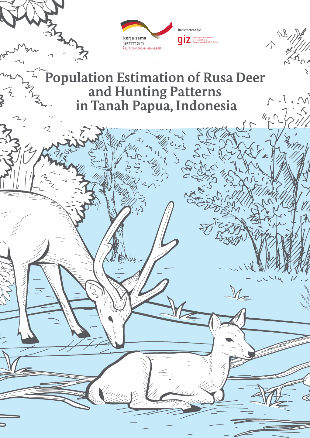 Population Estimation of Rusa Deer and Hunting Patterns in Tanah Papua, Indonesia