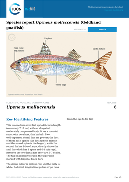 Goldband Goatfish) AFFILIATION FISHES