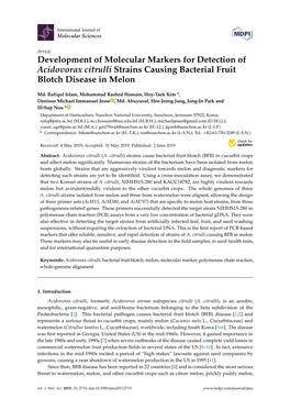 Development of Molecular Markers for Detection of Acidovorax Citrulli Strains Causing Bacterial Fruit Blotch Disease in Melon