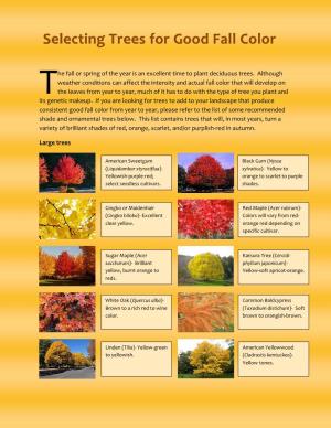 Trees for Good Fall Color