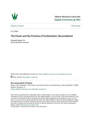 The Power and the Promise of Ecofeminism, Reconsidered