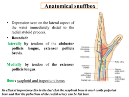 Anatomical Snuffbox