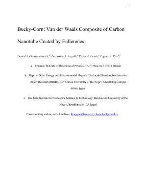 Van Der Waals Composite of Carbon Nanotube Coated by Fullerenes