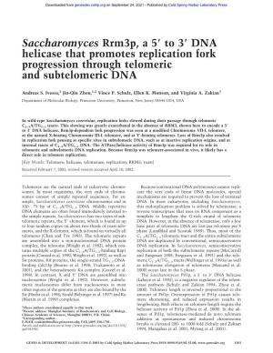 Saccharomyces Rrm3p, a 5 to 3 DNA Helicase That Promotes Replication