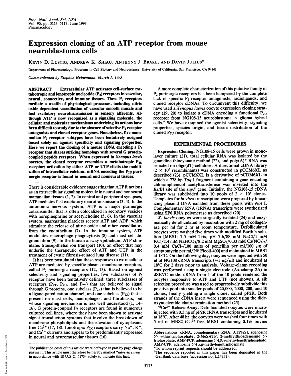 Expression Cloning of an ATP Receptor from Mouse Neuroblastoma Cells