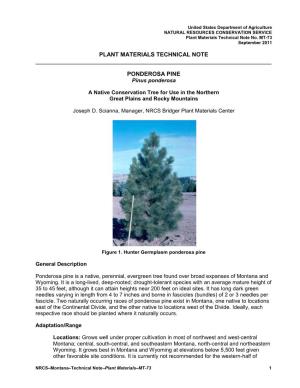 Plant Materials Technical Note Ponderosa Pine
