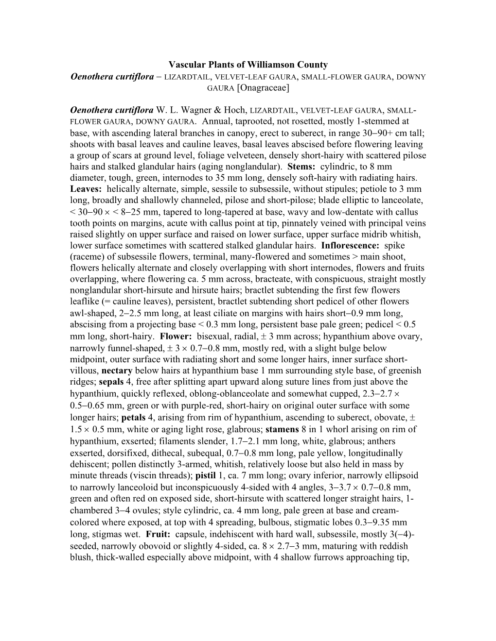 Vascular Plants of Williamson County Oenothera Curtiflora − LIZARDTAIL, VELVET-LEAF GAURA, SMALL-FLOWER GAURA, DOWNY GAURA [Onagraceae]