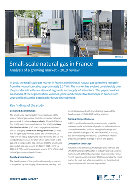 Small-Scale Natural Gas in France